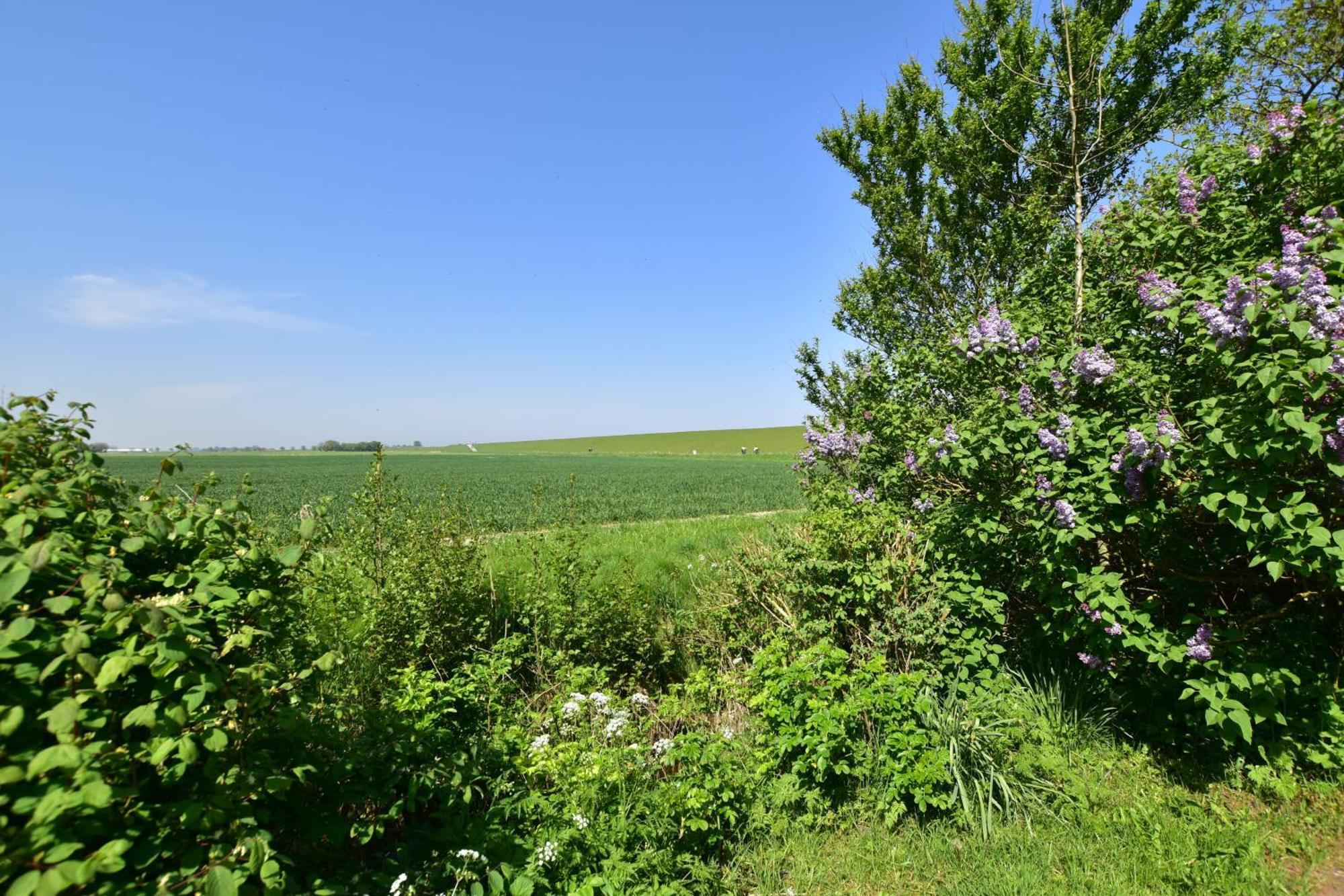 Haus Kuestersmatt Am Deich - Minsen Buitenkant foto
